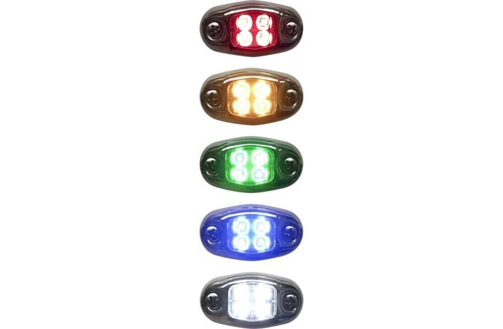 Oval LED Dragon Light in Red, Yellow, Green, Blue and White