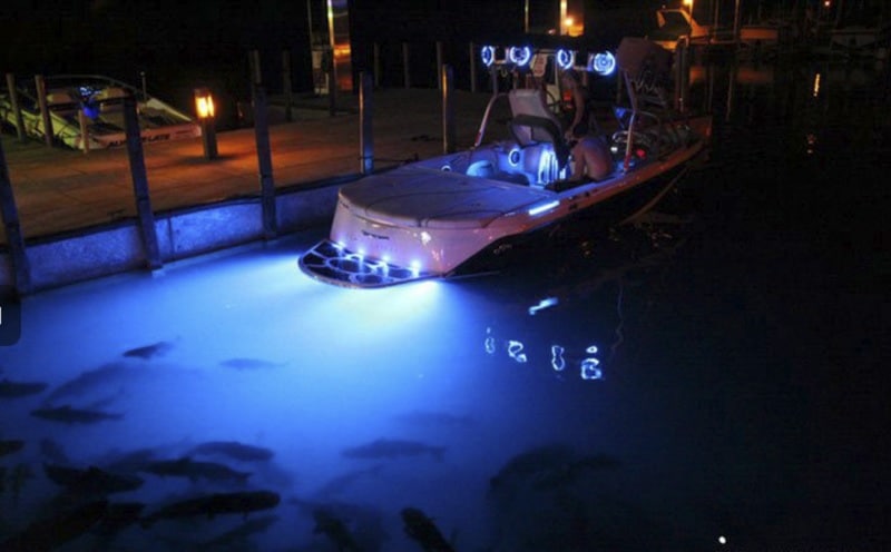 Underwater Lighting Water Dragon Lights by TecNiq