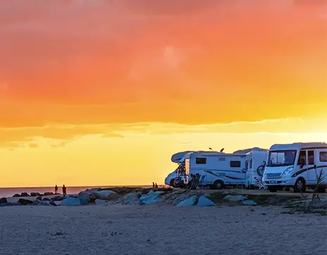 custer products on sale